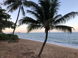 Κοντά στην παραλία, λευκή άμμος, πετσέτες θαλάσσης, 3 beach bar