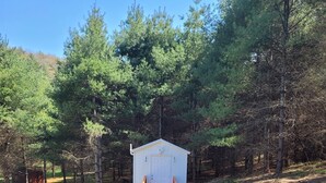 Une petite cabane en bois, dotée d’une porte et de fenêtres, entourée d’arbres et accessible par un chemin de gravier.