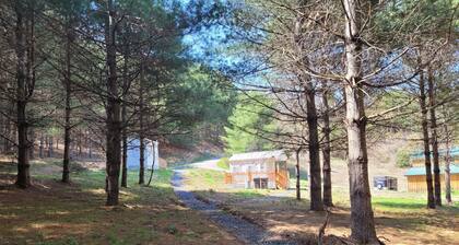 Rudy Cabin