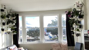 A living room with a sofa, armchair, and coffee table, a bookshelf with plants, and a view of a street and trees through large windows. - Bayview house in Oriental Parade  (Wellington)