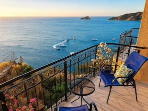 A balcony with a view of the sea, a chair, and a potted plant.