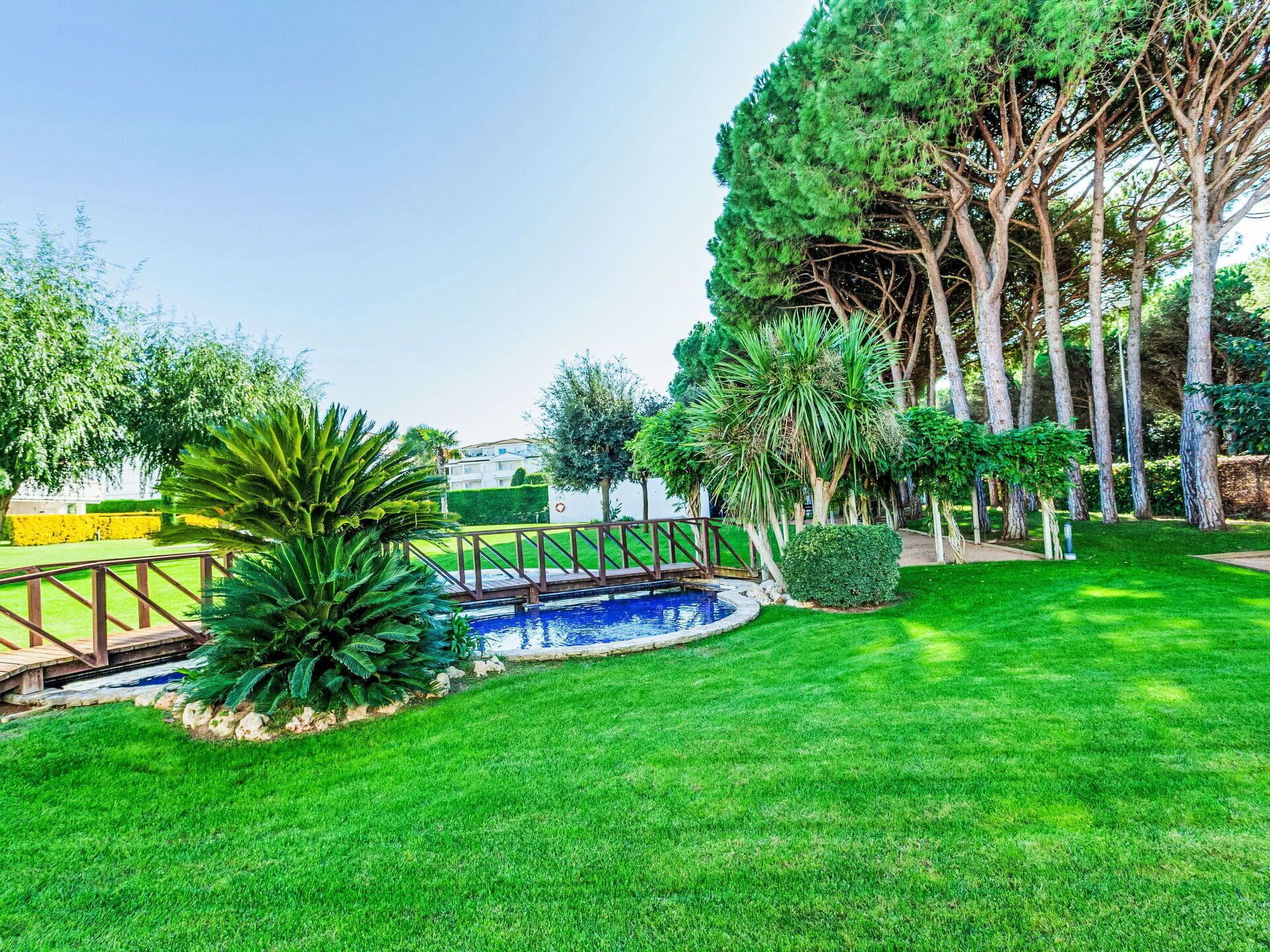 Un giardino curato con piscina, un pontile in legno e diversi alberi.