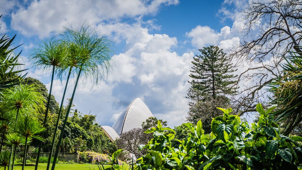 KozyGuru | McMahons Point | Opera House View — image 14