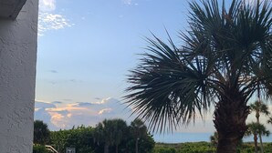 A pool area with lounge chairs and a palm tree, surrounded by a fence and greenery. - Oceanfront Condo w/ ocean view private balcony, on-site heated pool & hot tub (Cape Canaveral)