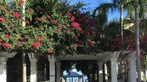 Un porticato con colonne bianche e fiori rossi, che conduce a un edificio con tetto blu.
