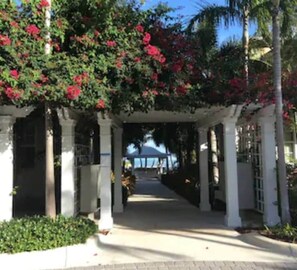 Imagen sin descripción, 2 de 36, botón