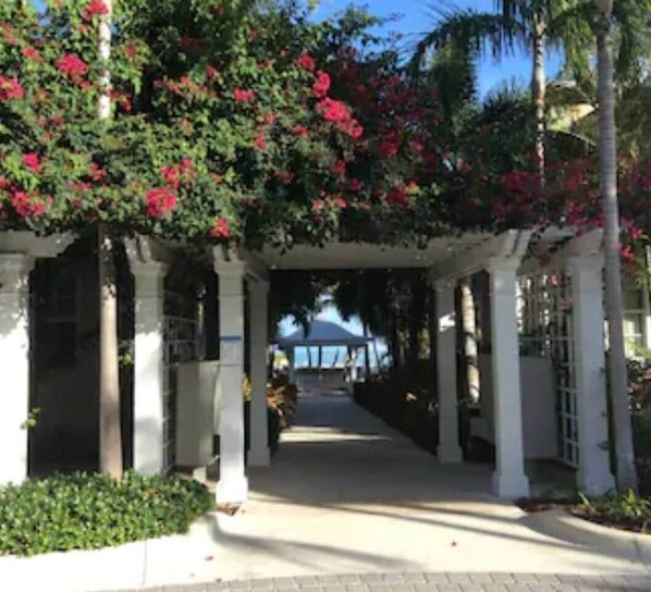 Unclassified image, 1 of 36, button