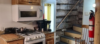 Historic Log Cabin in the heart of Detroit