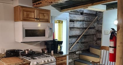 Historic Log Cabin in the heart of Detroit