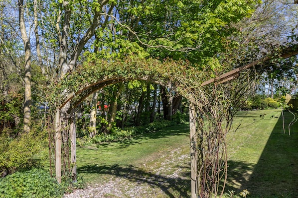 A garden with a wooden pergola covered in climbing plants, a gravel path, and surrounding greenery.