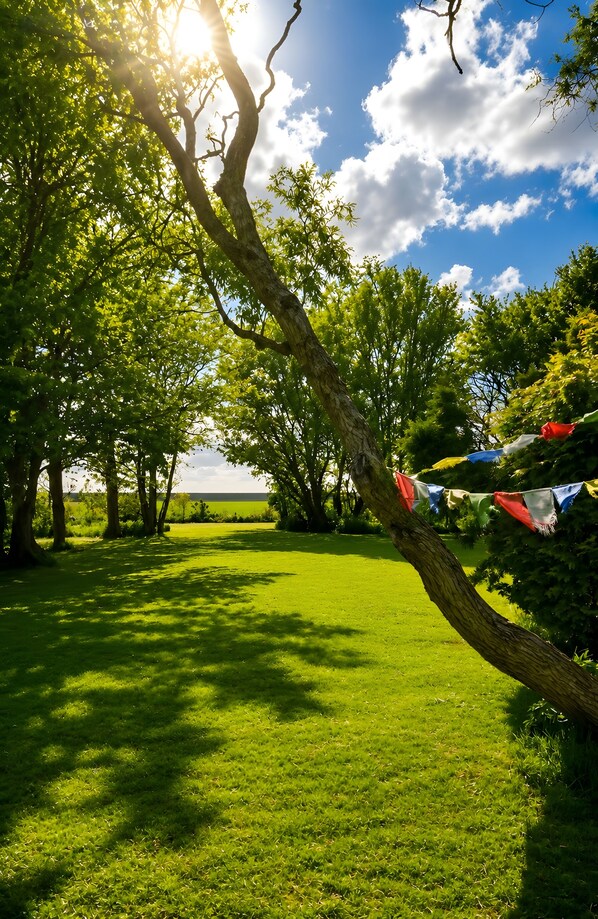 A grassy area with trees and a clear sky.