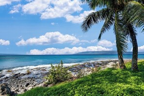 Playa en los alrededores, camastros y toallas de playa 