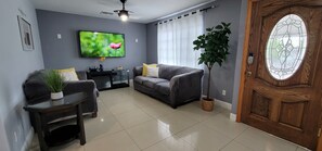 Smart TV, fireplace, DVD player, books