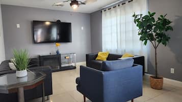 Smart TV, chimenea, reproductor de DVD y libros