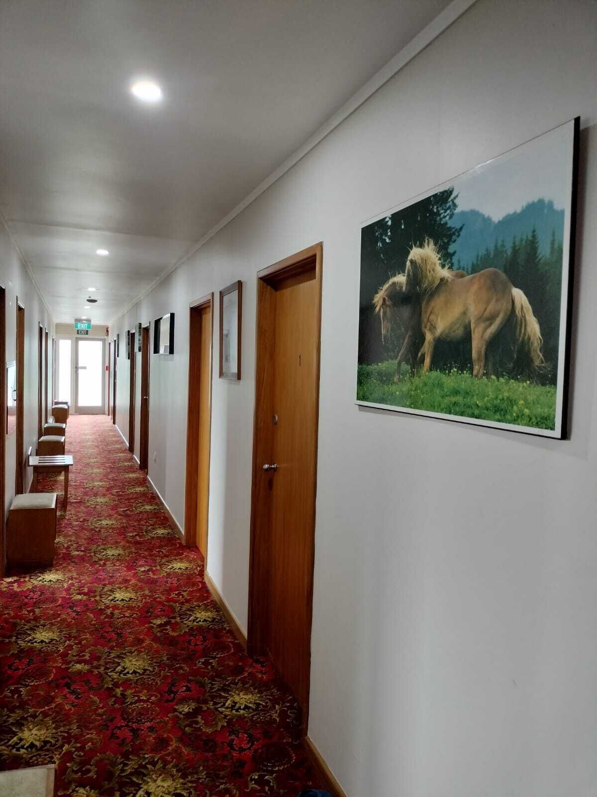 Basic Double Room, 1 Double Bed, Non Smoking, Shared Bathroom