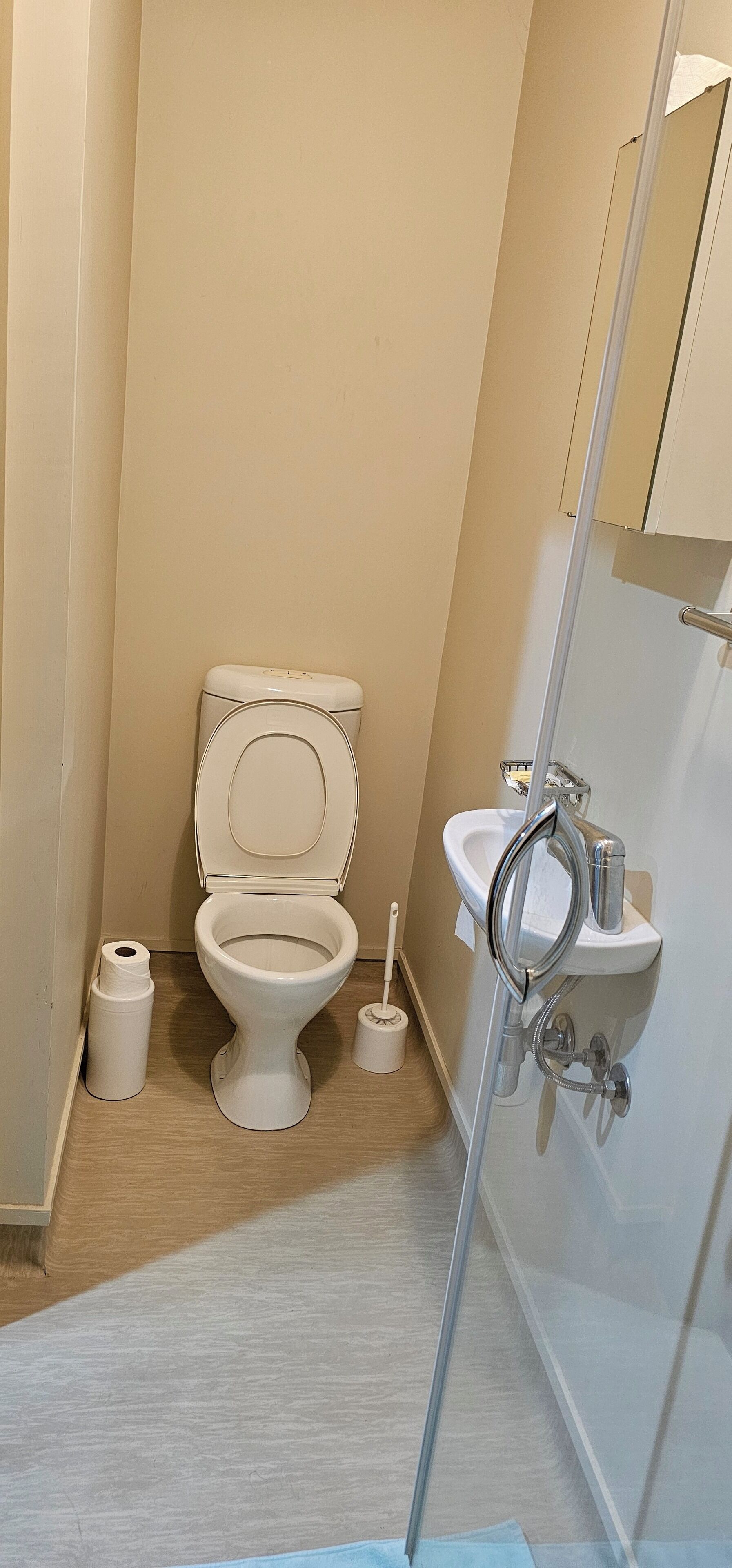 Un baño pequeño y limpio con inodoro, lavamanos y ducha.