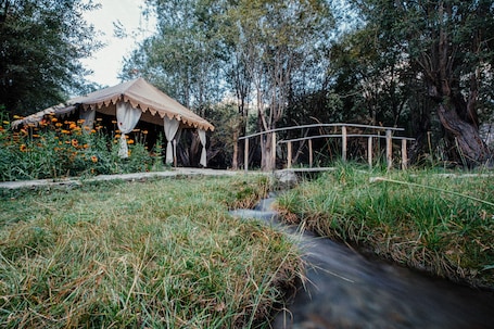 Deluxe Room | Living area. Nubra Eco Village