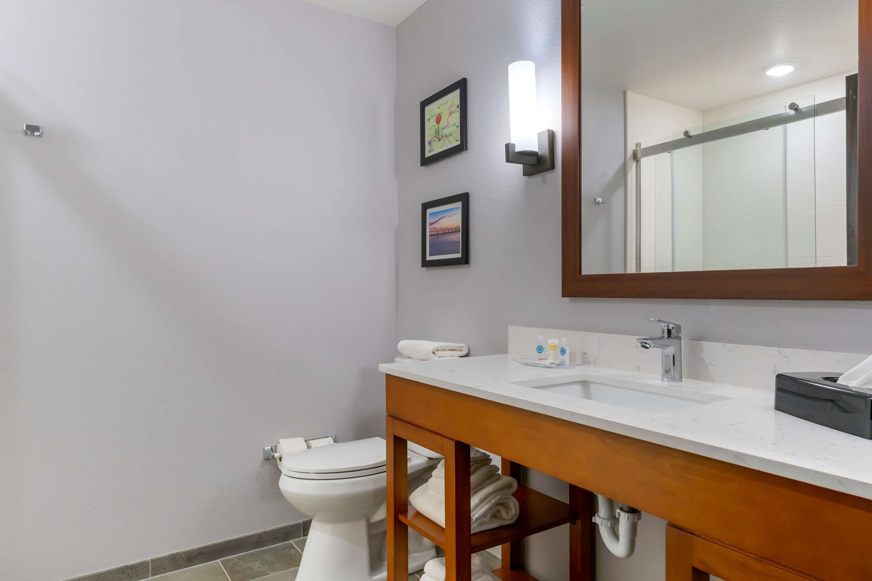 standard room, 1 king bed, accessible, non smoking | bathroom | hair dryer, towels, soap, shampoo