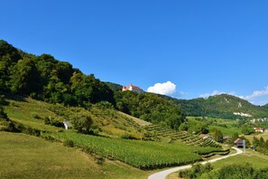 Exterior - Pool Villa Silva Marija (Brezice)