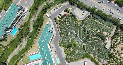 Shin Shin Hotel Jeju City