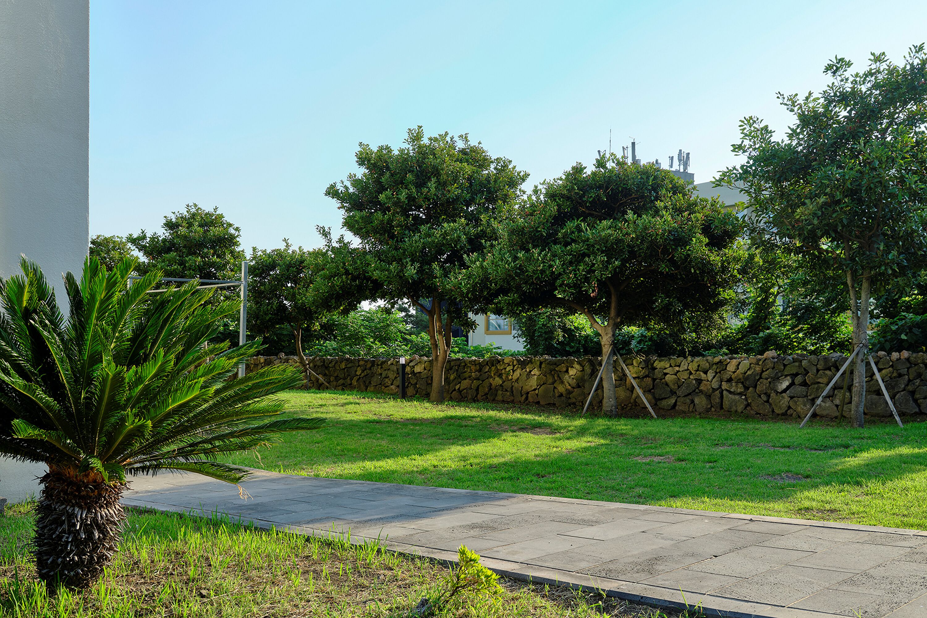 Foto - Shin Shin Hotel Jeju City