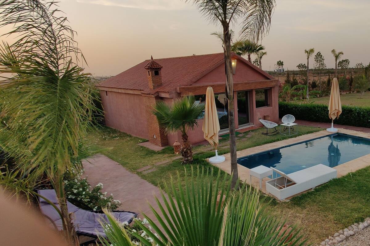 A house with a swimming pool, surrounded by cacti and palm trees.
