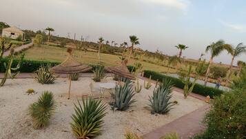 Outdoor pool, free pool cabanas, pool umbrellas