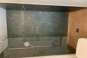 Regadera, secadora de cabello, bidet 