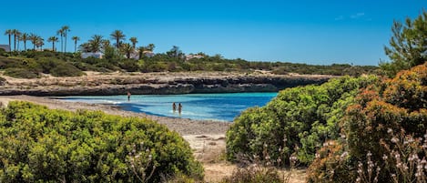 بالقرب من الشاطئ