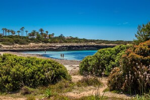 Un paysage côtier caractérisé par un ciel bleu dégagé, une plage de sable et une végétation luxuriante.