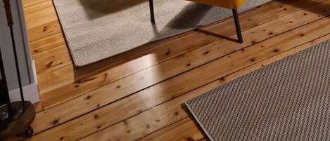 TV, fireplace, DVD player, books