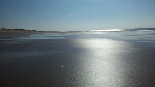 Une plage avec un ciel dégagé et une eau calme.