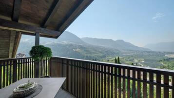 A balcony with a view of a valley and mountains.