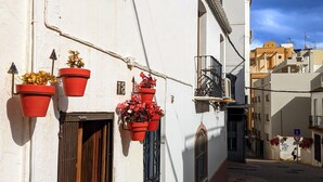 Een smalle straat met witte gebouwen, rode bloempotten en een metalen poort.