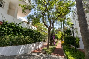 المنطقة المحيطة بالمنشأة