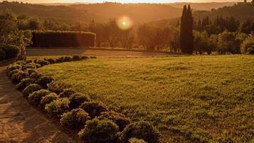 A garden with a stone pathway, neatly trimmed bushes, and a view of distant hills.