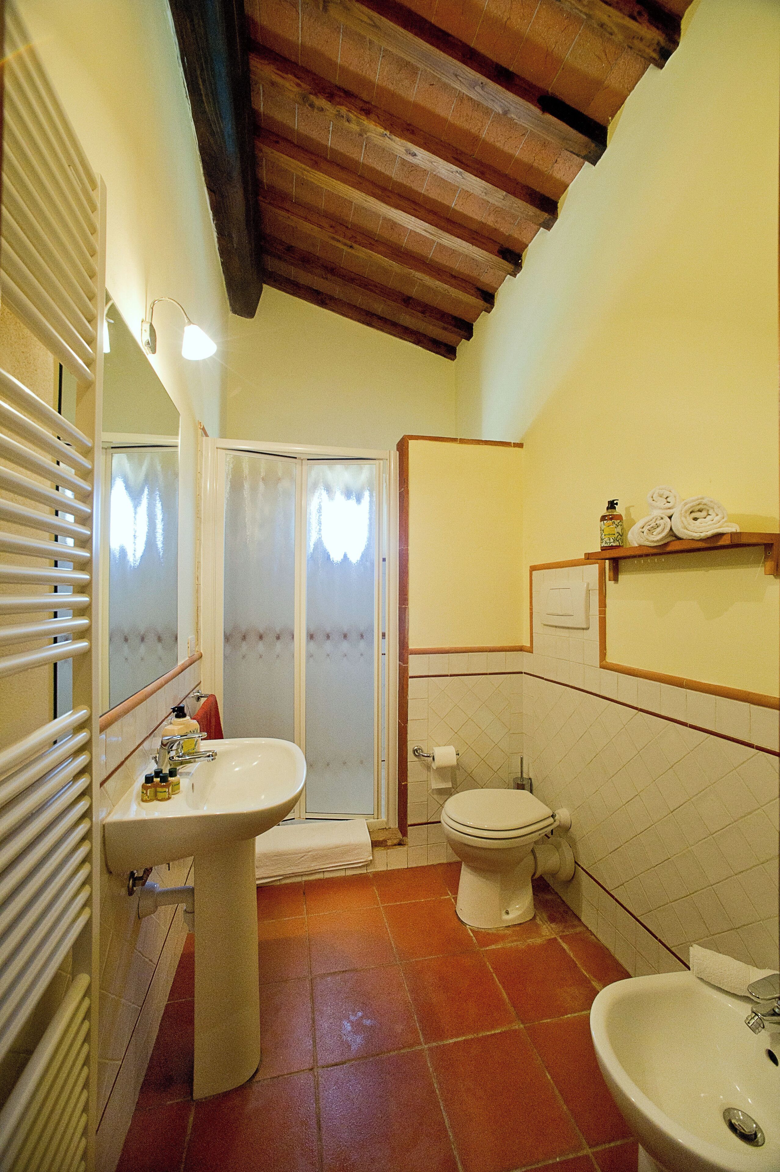 A bathroom with a sink, toilet, and shower area.