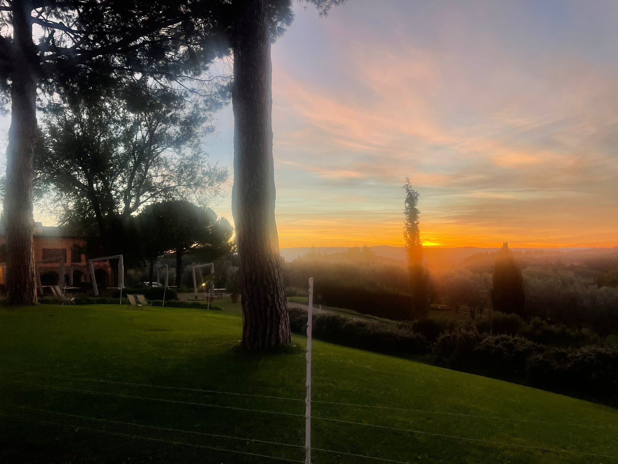 A grassy area with trees and a clear sky at sunset.
