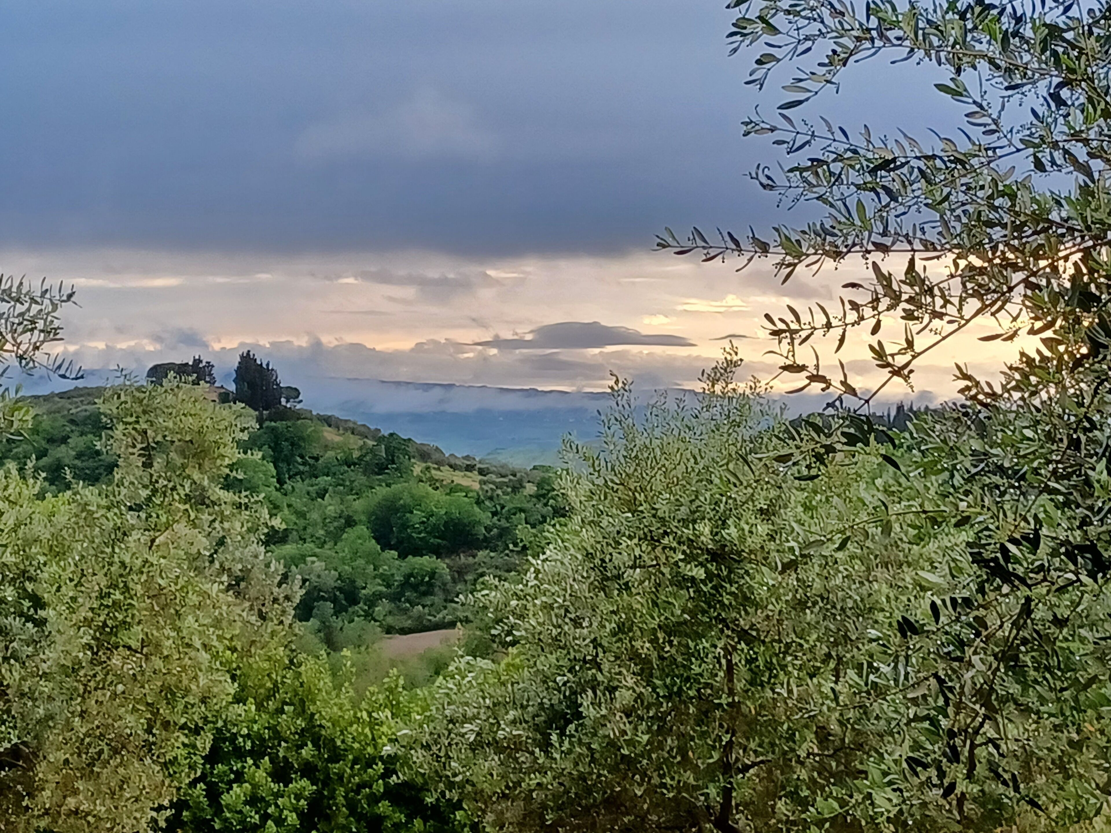 Üppige grüne Landschaft mit einem Hügel und weiter Aussicht auf ein Gebirge.