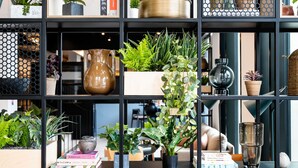 A modern interior with a black metal shelving unit displaying various plants, books, and decorative items.