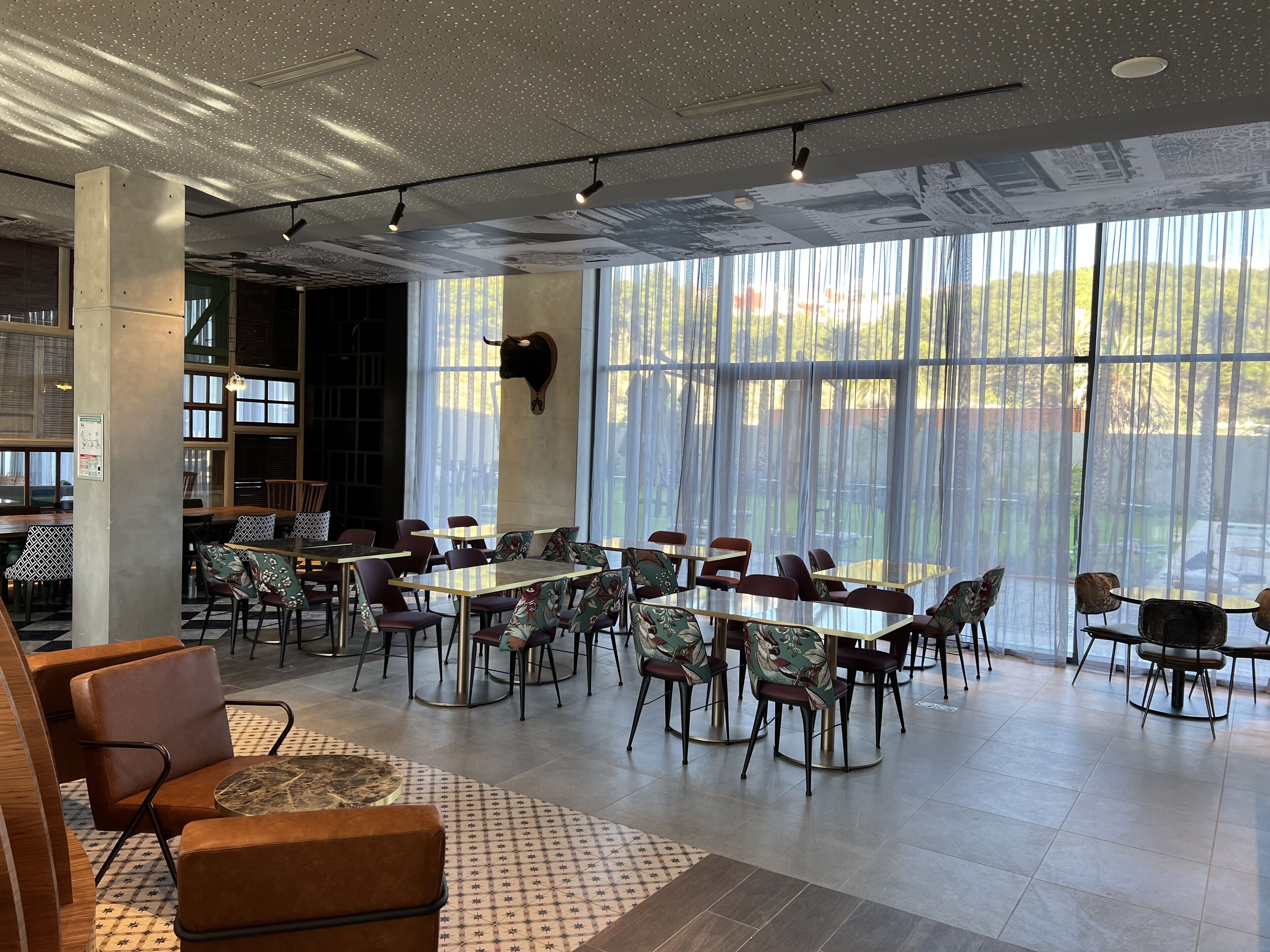 A spacious conference room with large tables and chairs, a bull's head decoration, and a view through sheer curtains.