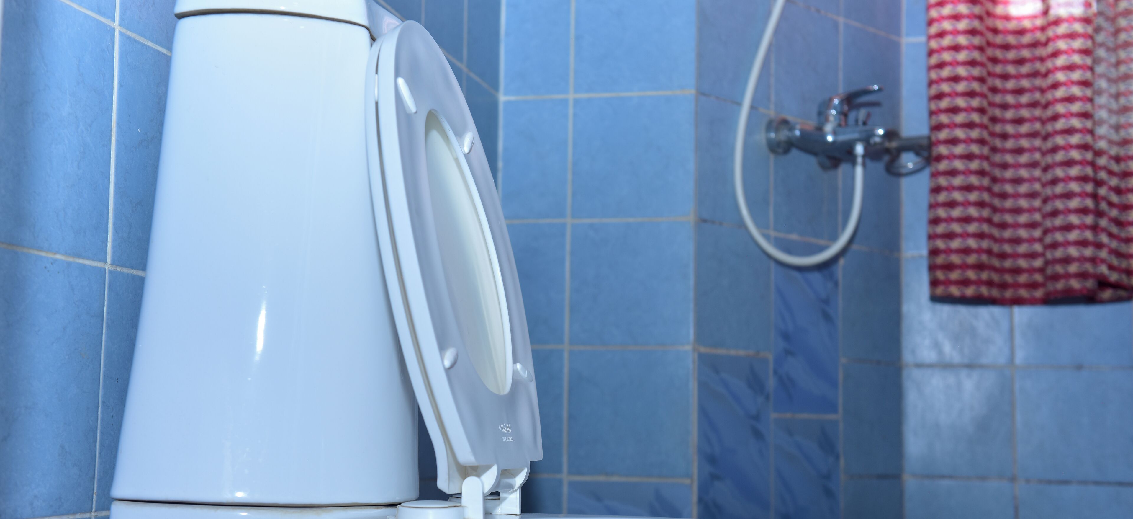 Shower, towels, soap, toilet paper