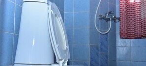 シャワー、タオル、石鹸、トイレットペーパー