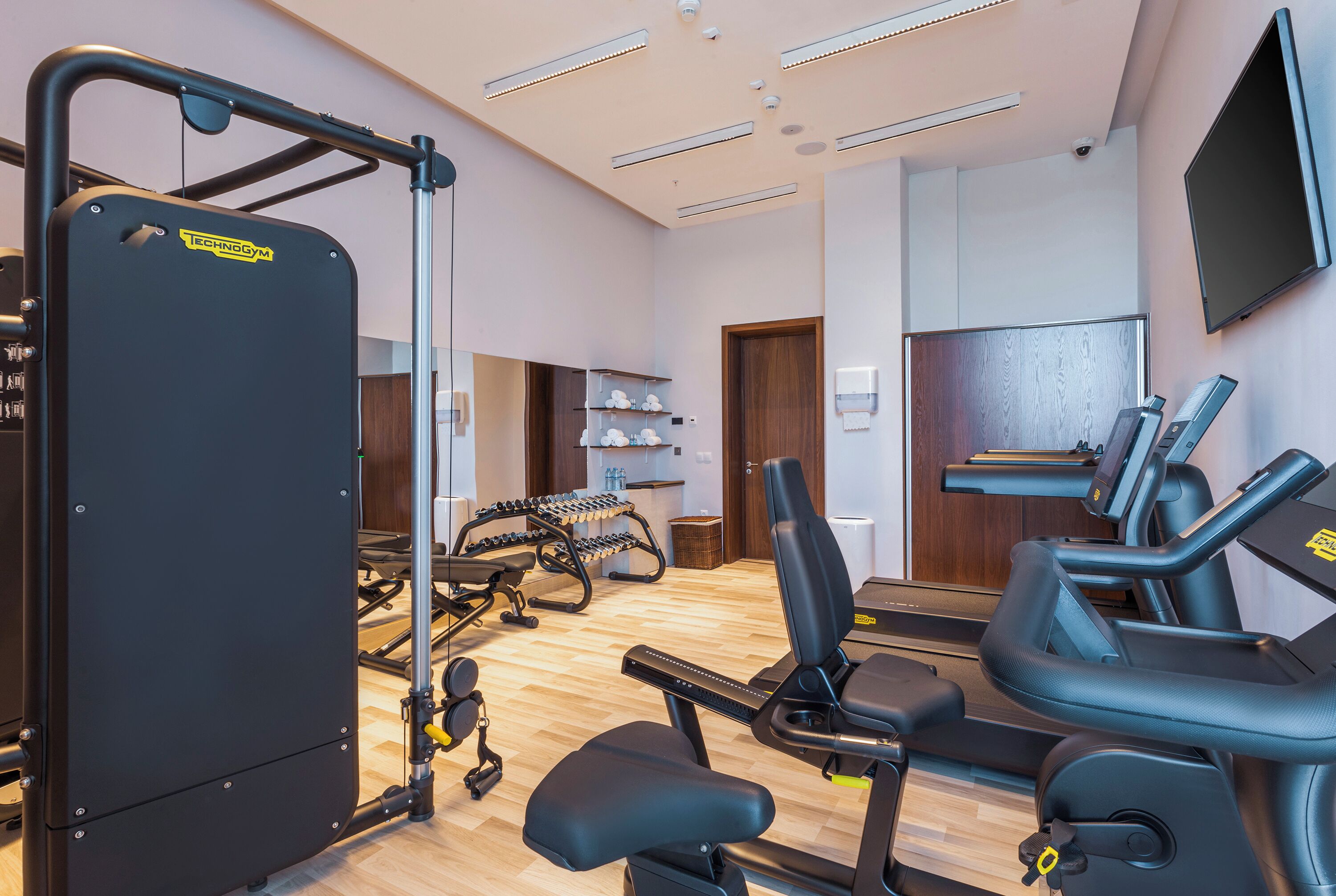 A gym with exercise equipment, a treadmill, and a weight bench.
