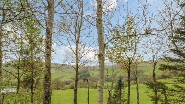 A rural landscape with trees, a fenced field, and rolling hills in the background. - Swallows Nest (Macclesfield)