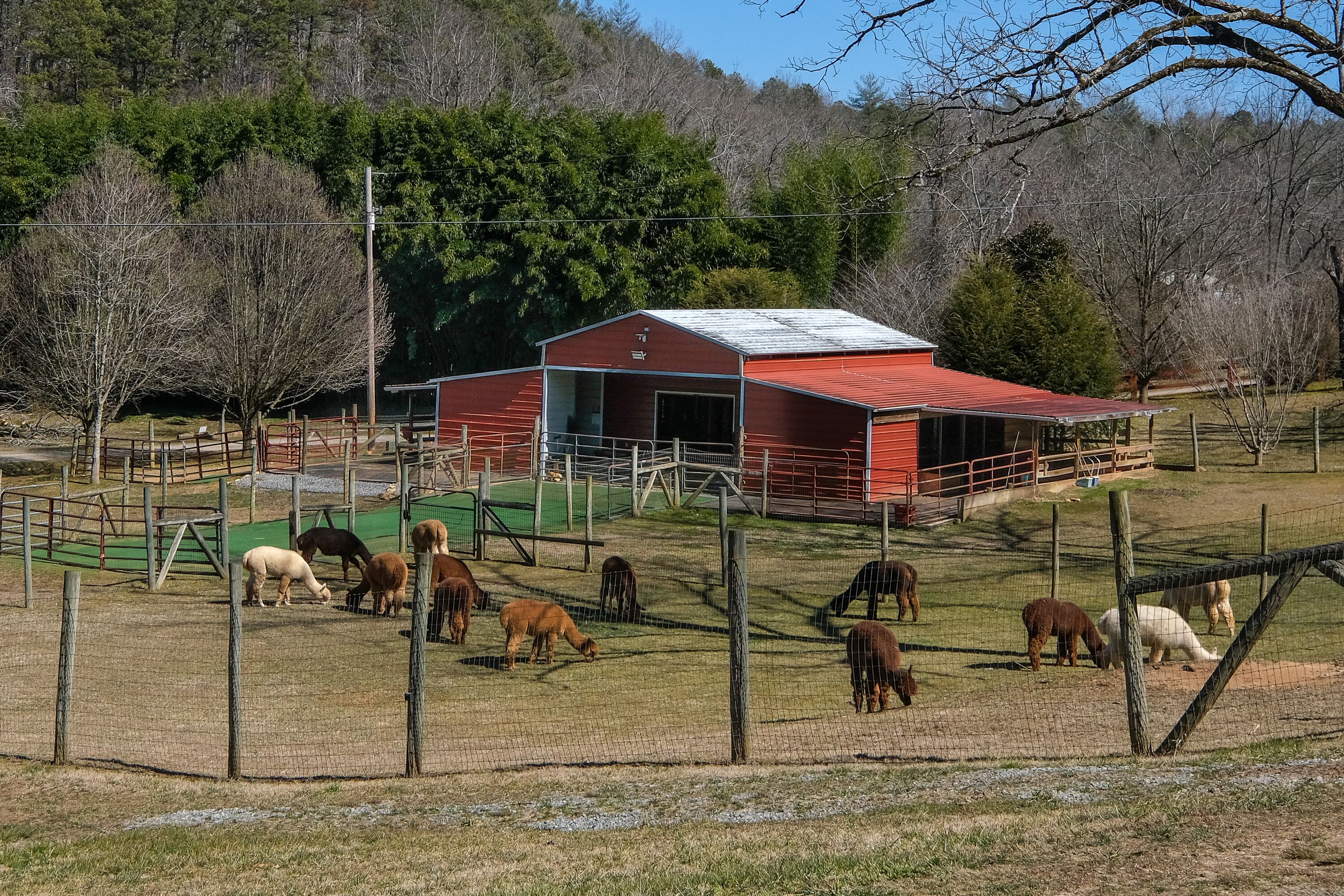 A red barn with a green roof, surrounded by a fenced area with horses grazing.