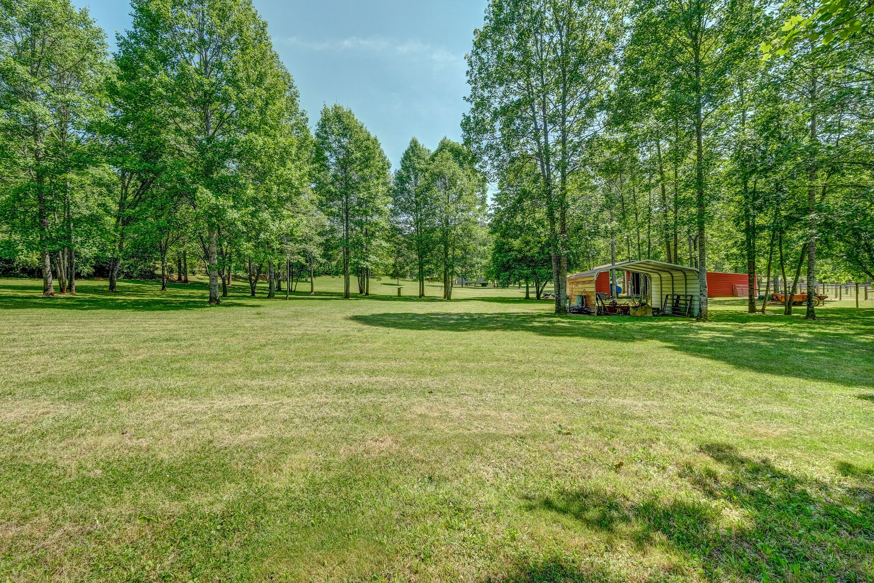 A spacious grassy area with a small cabin-like structure surrounded by tall trees.