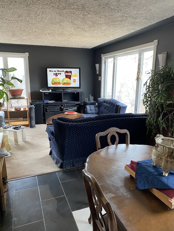 TV, DVD player, video library