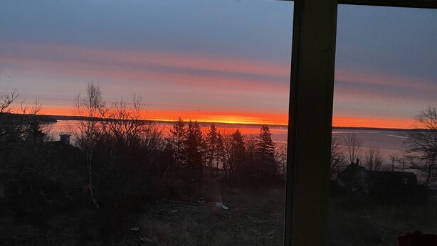 Une vue sur le coucher de soleil à travers une fenêtre, avec des arbres sans feuilles et une côte lointaine.