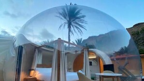 Una cúpula transparente que alberga una cama, una silla y una mesa, reflejando una palmera y montañas en el exterior.